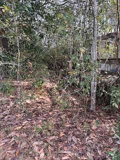 1.58 Acres of Residential Land for Sale in Monticello, Florida