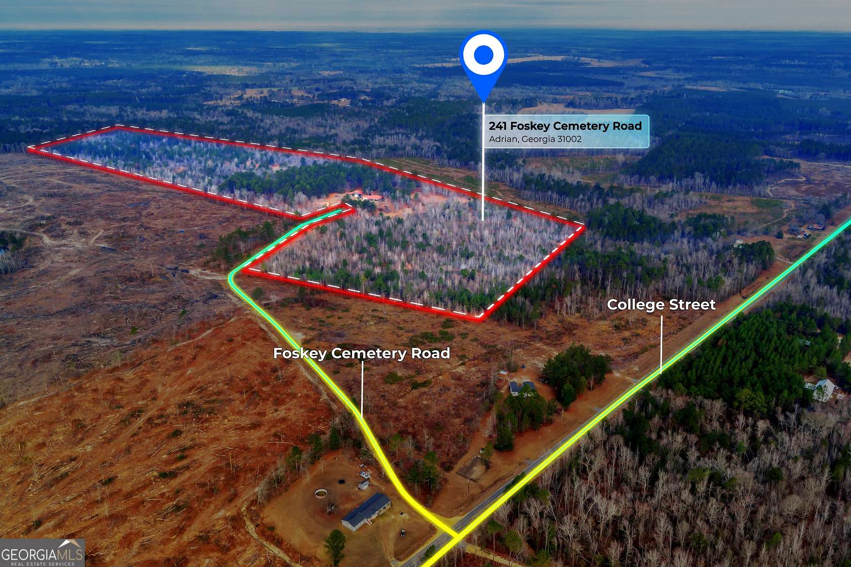 89 Acres of Land with Home for Sale in Adrian, Georgia