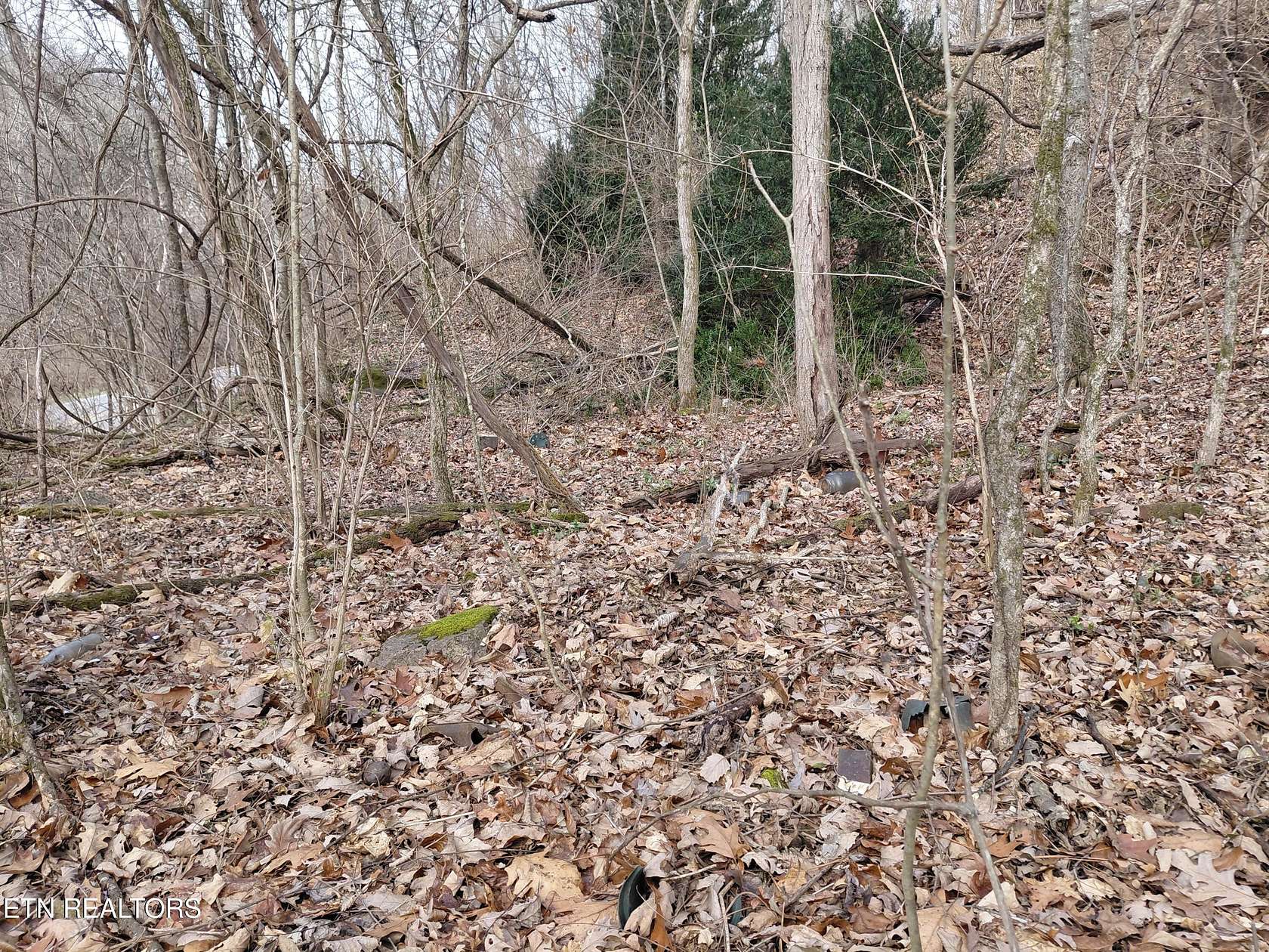 0.25 Acres of Land for Sale in Louisville, Tennessee