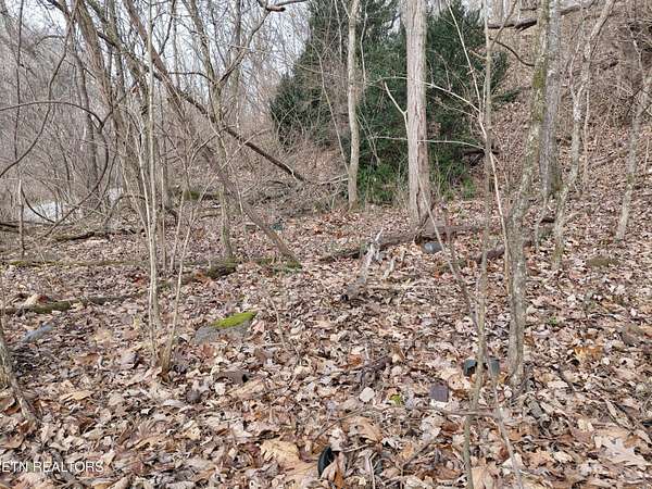 0.25 Acres of Land for Sale in Louisville, Tennessee