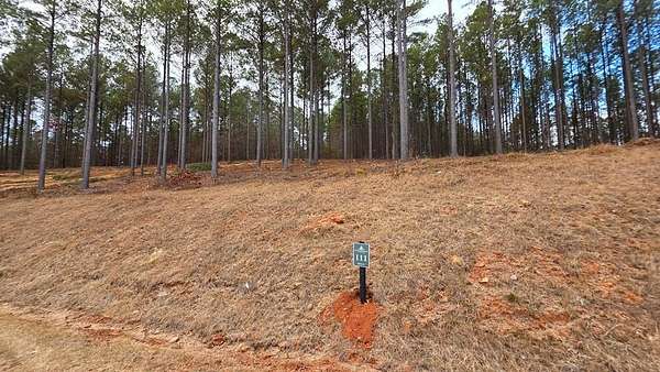 1.56 Acres of Residential Land for Sale in Ellijay, Georgia