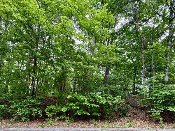 0.42 Acres of Residential Land for Sale in Soddy-Daisy, Tennessee