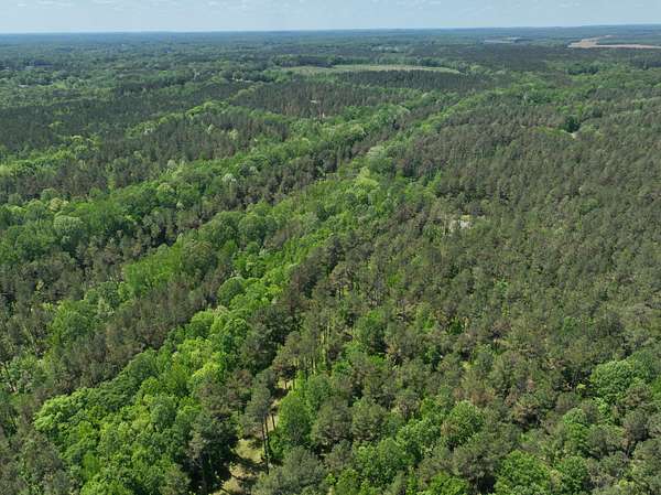 319 Acres of Land for Sale in Corinth, Mississippi