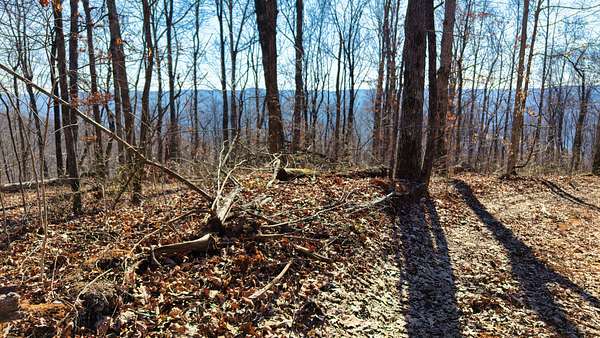 36.2 Acres of Recreational & Residential Land for Sale in Beersheba Springs, Tennessee