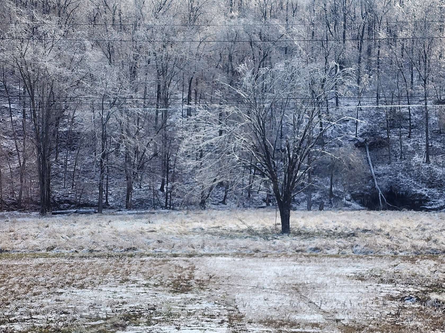 51.5 Acres of Land for Sale in Waynesboro, Tennessee