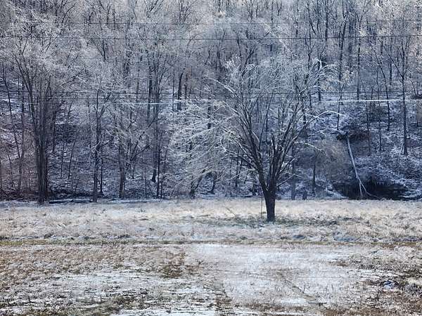 51.5 Acres of Land for Sale in Waynesboro, Tennessee