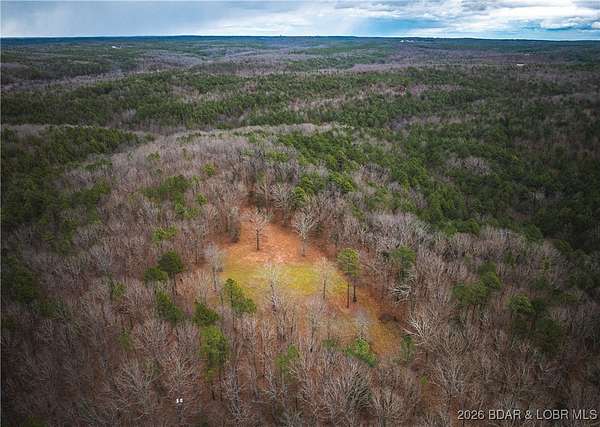 56.4 Acres of Recreational Land for Sale in Lynch Township, Missouri
