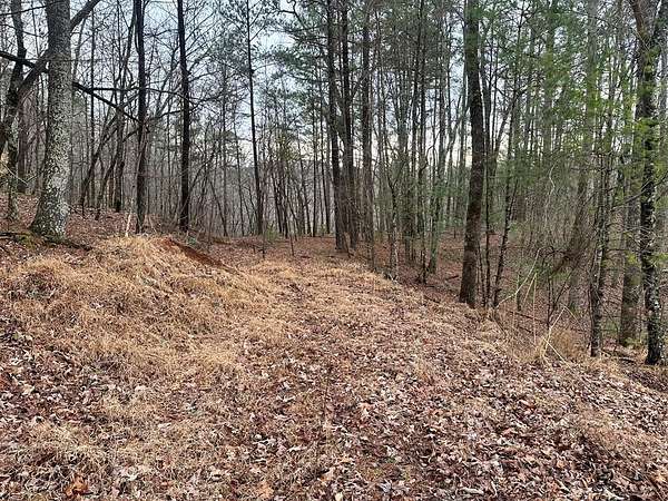 0.88 Acres of Residential Land for Sale in Ellijay, Georgia