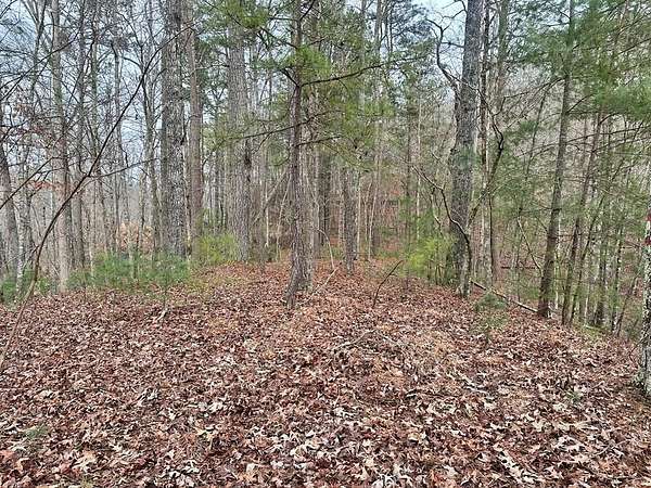 0.88 Acres of Residential Land for Sale in Ellijay, Georgia