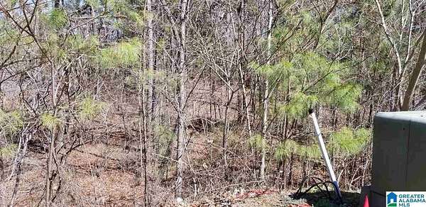 0.44 Acres of Residential Land for Sale in Chelsea, Alabama