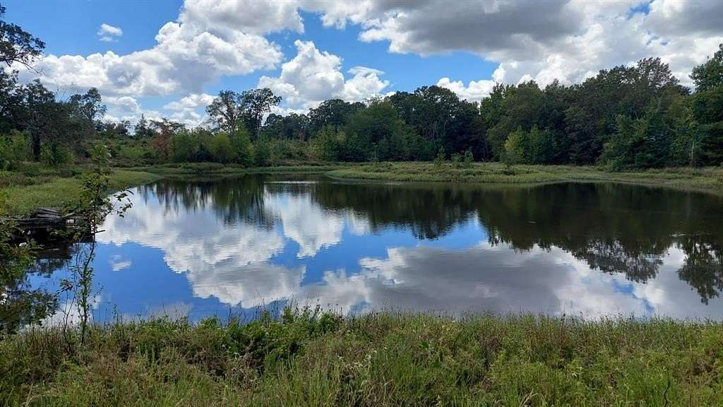 567 Acres of Recreational Land & Farm for Sale in Bagwell, Texas