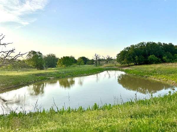 150 Acres of Recreational Land & Farm for Sale in Goldthwaite, Texas