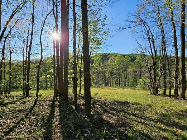 4.73 Acres of Residential Land for Sale in Elkins, West Virginia