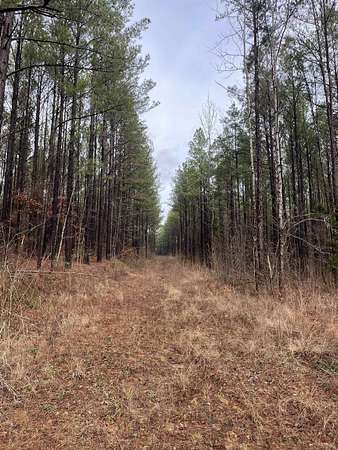 138 Acres of Land for Sale in Iuka, Mississippi