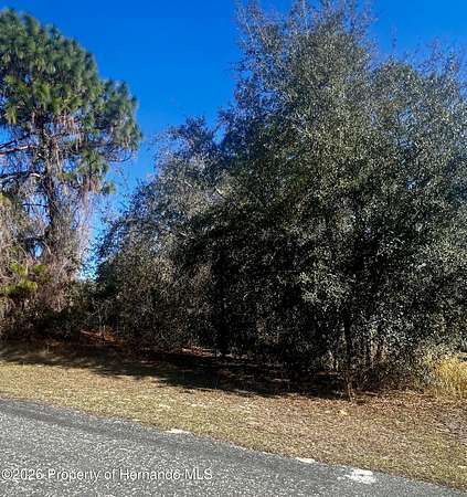 0.26 Acres of Residential Land for Sale in Citrus Springs, Florida