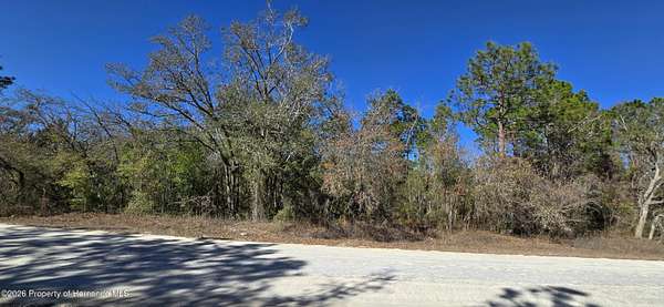 0.49 Acres of Residential Land for Sale in Brooksville, Florida