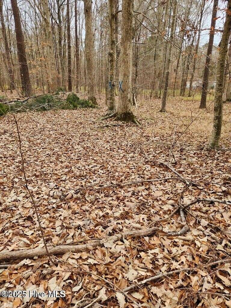 0.22 Acres of Residential Land for Sale in Hertford, North Carolina