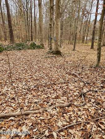 0.22 Acres of Residential Land for Sale in Hertford, North Carolina