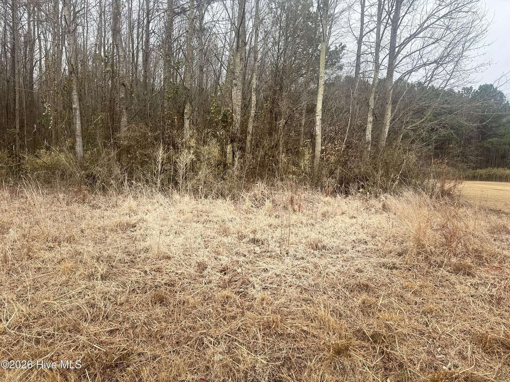 1 Acre of Residential Land for Sale in Hertford, North Carolina