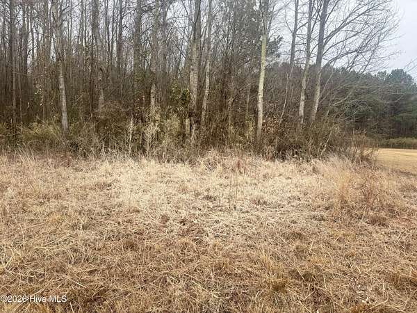 1 Acre of Residential Land for Sale in Hertford, North Carolina