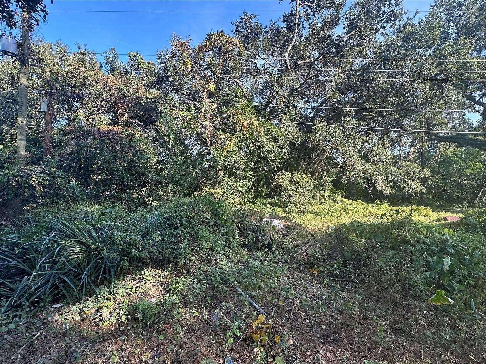 0.91 Acres of Residential Land for Sale in Thonotosassa, Florida