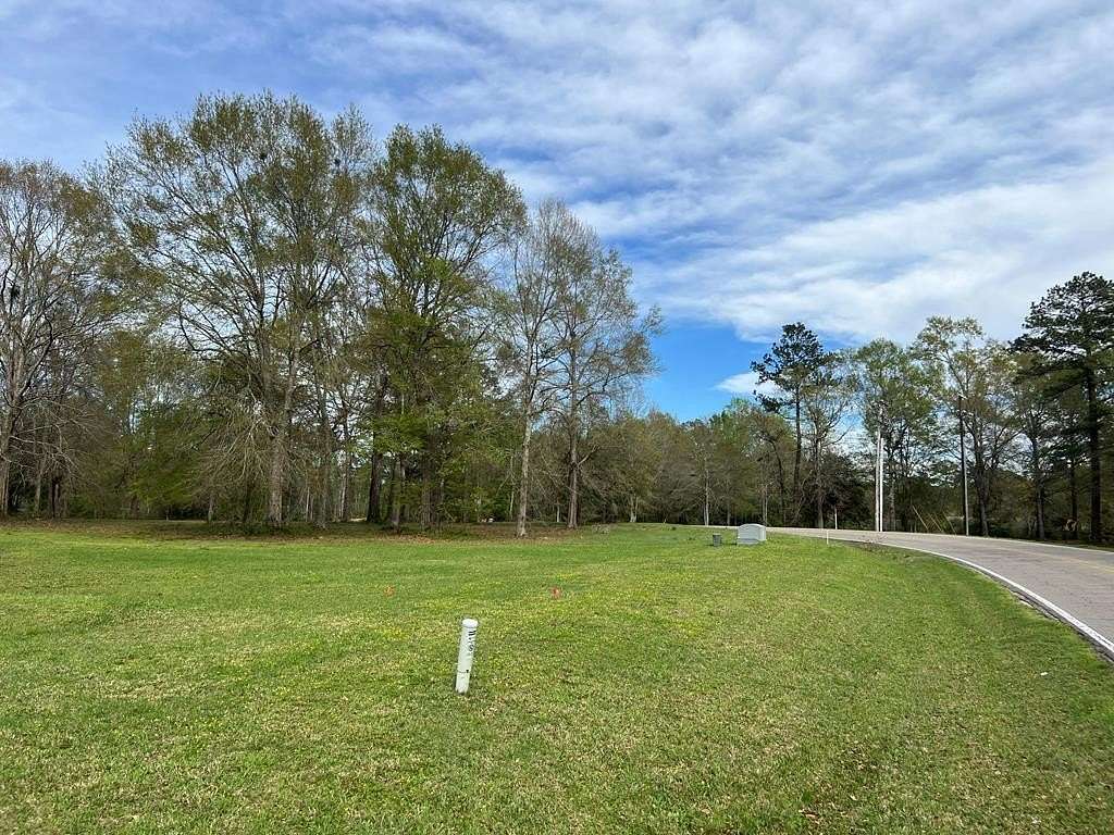 2.1 Acres of Mixed-Use Land for Sale in Carriere, Mississippi