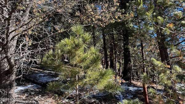 0.46 Acres of Residential Land for Sale in Cloudcroft, New Mexico