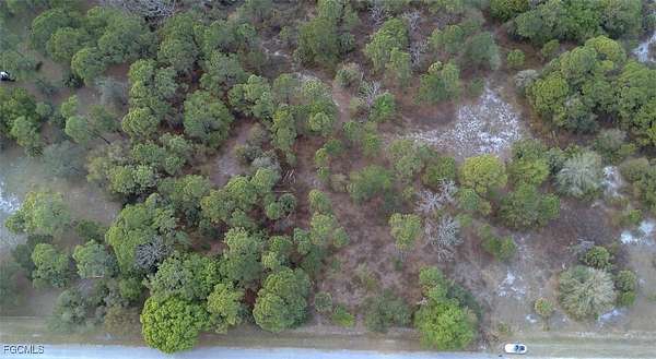 1 Acre of Residential Land for Sale in Clewiston, Florida