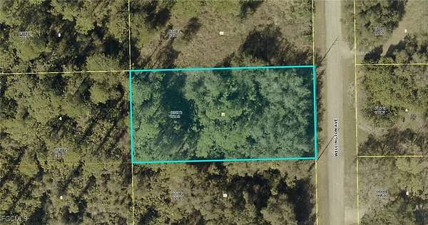 0.5 Acres of Residential Land for Sale in Alva, Florida