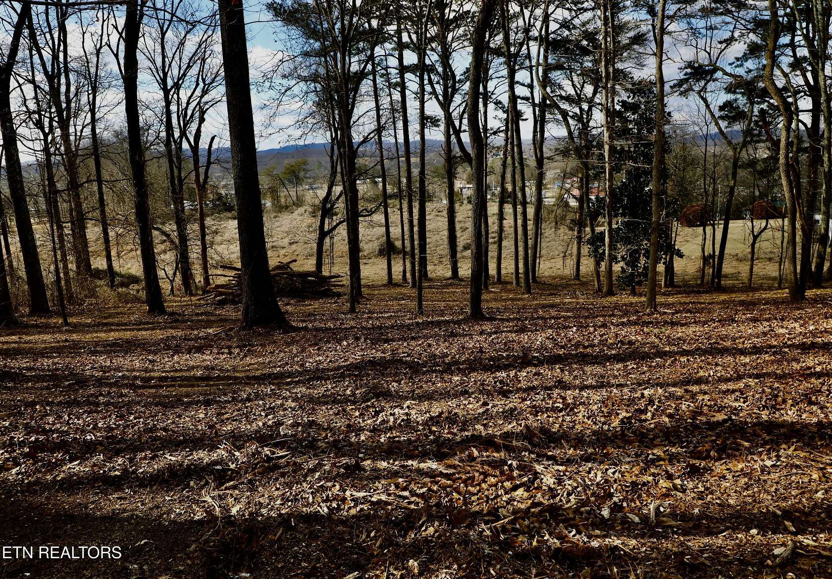 1.1 Acres of Residential Land for Sale in Madisonville, Tennessee