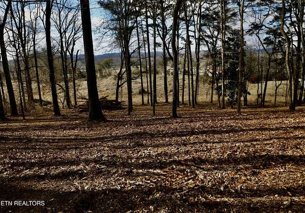 1.1 Acres of Residential Land for Sale in Madisonville, Tennessee