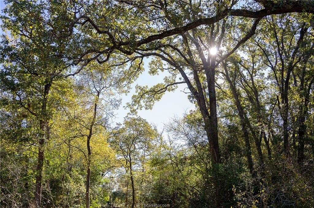 1 Acre of Residential Land for Sale in Bryan, Texas