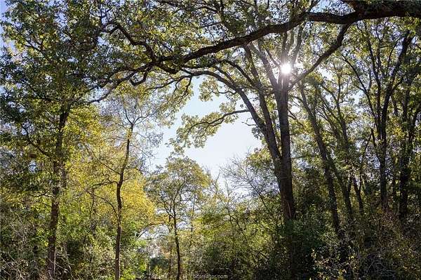 1 Acre of Residential Land for Sale in Bryan, Texas