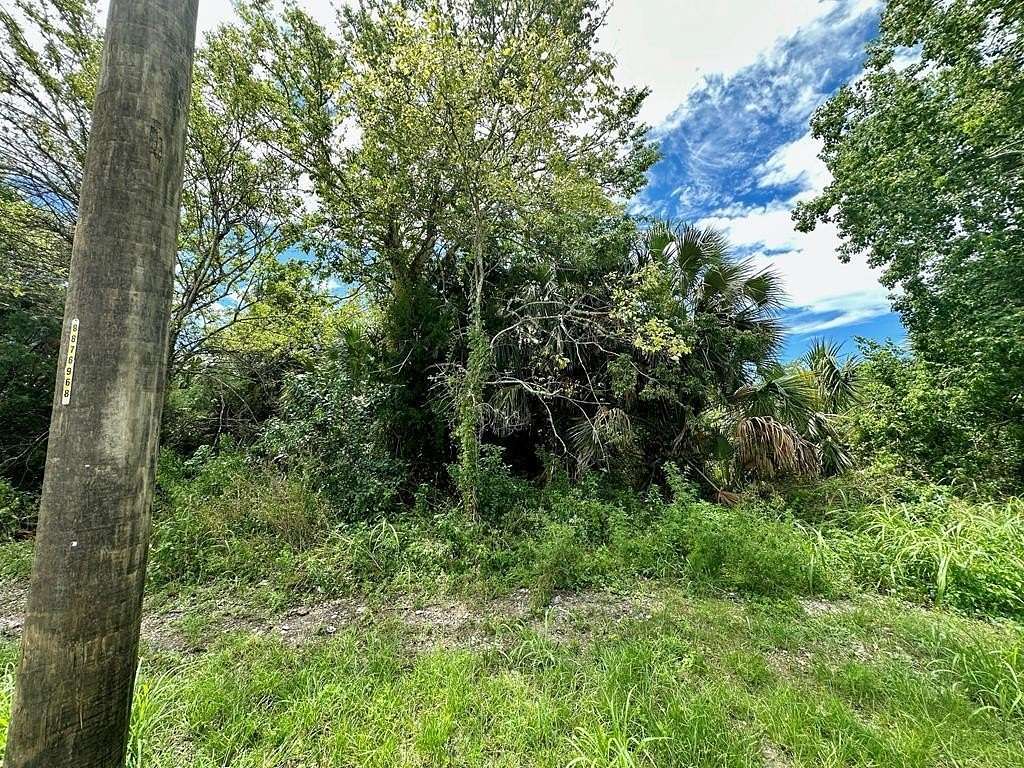 0.33 Acres of Mixed-Use Land for Sale in Apalachicola, Florida