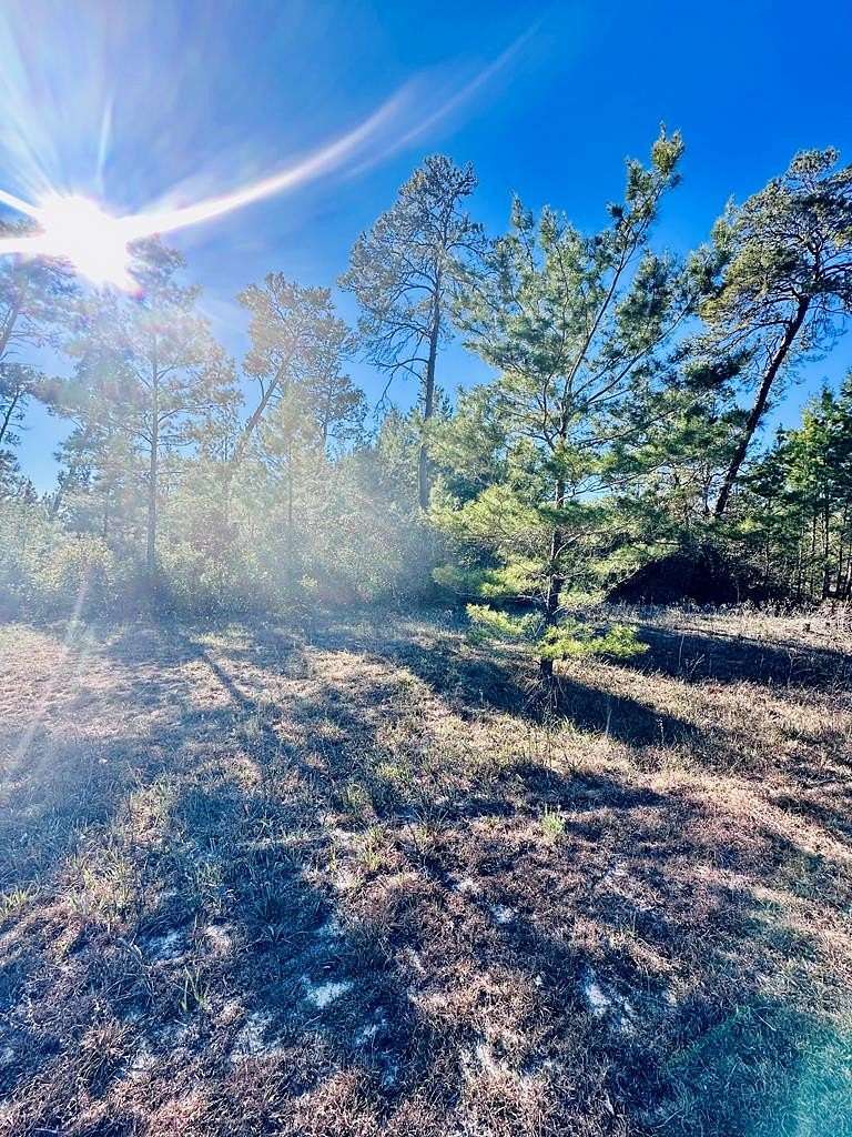 1 Acre of Residential Land for Sale in Carrabelle, Florida