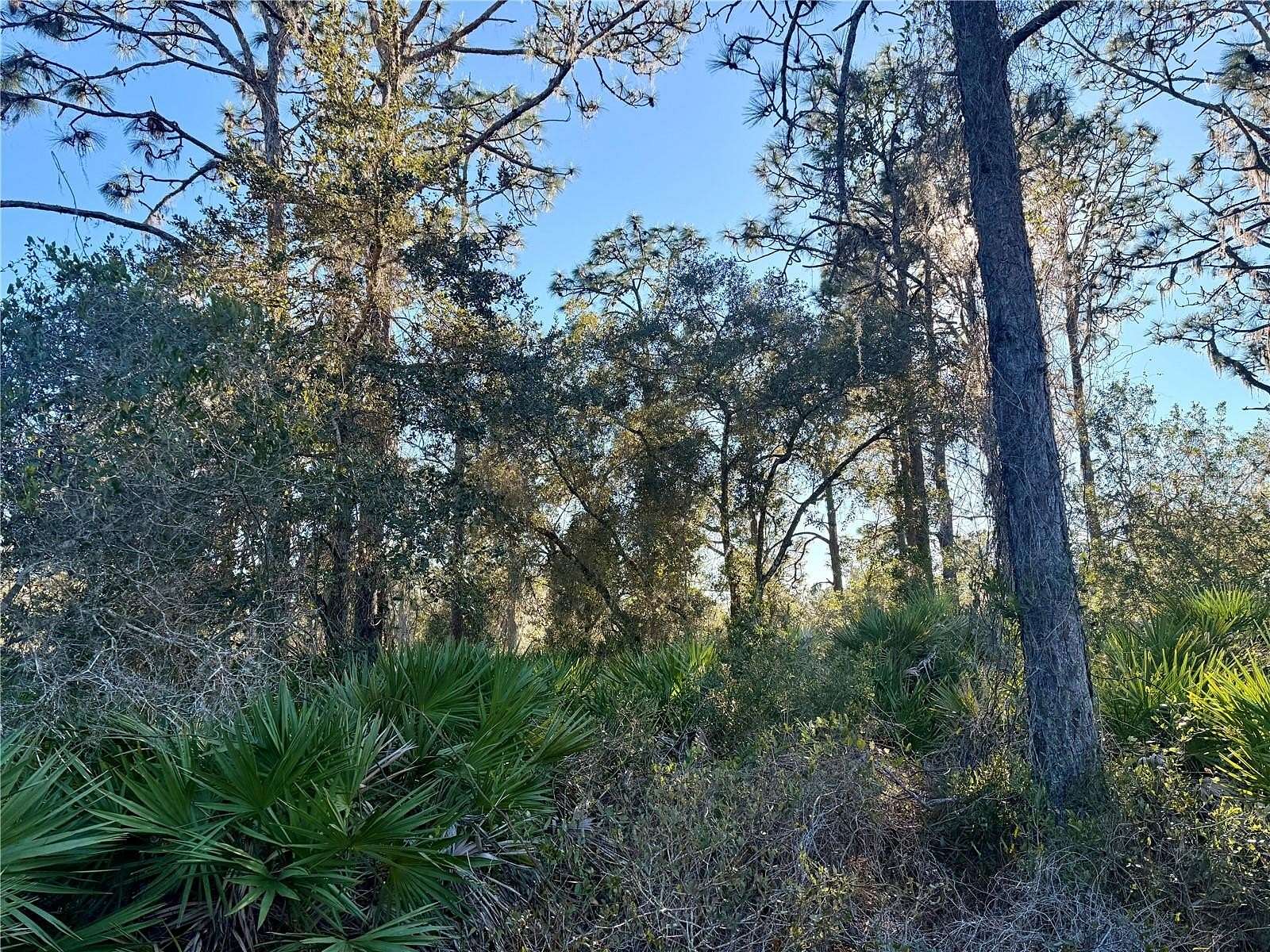 0.5 Acres of Residential Land for Sale in Indian Lake Estates, Florida