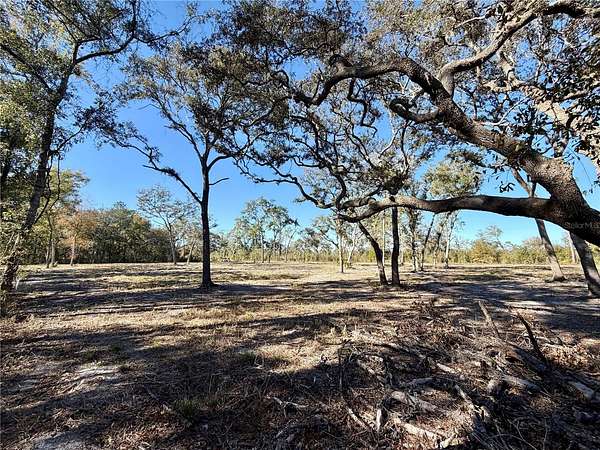 2 Acres of Land for Sale in Fort McCoy, Florida