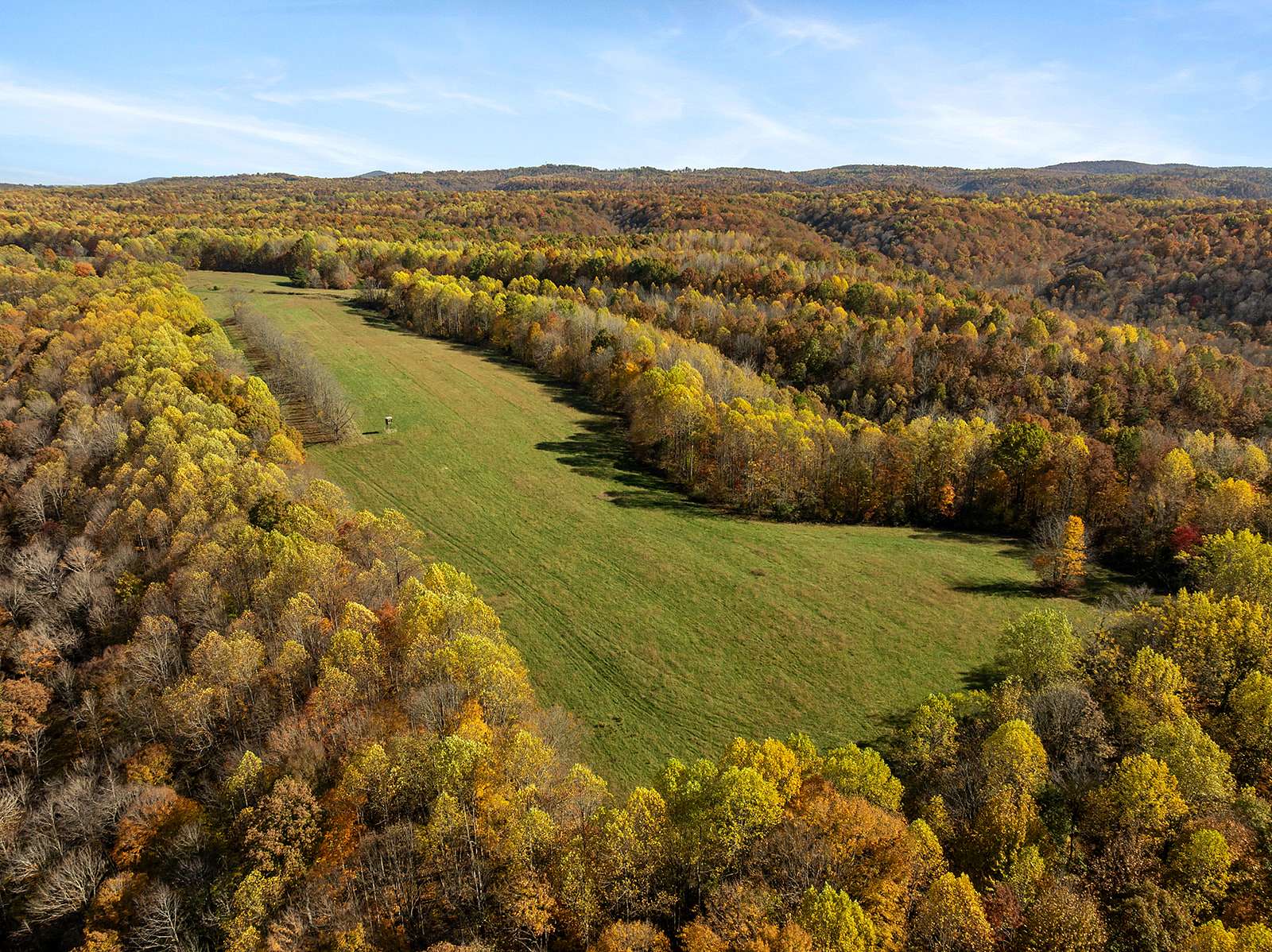 55.5 Acres of Recreational Land & Farm for Sale in Liberty, Kentucky