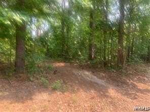0.99 Acres of Land for Sale in Woodstock, Alabama
