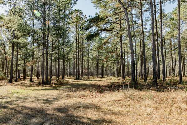 430 Acres of Recreational Land for Sale in Round O, South Carolina