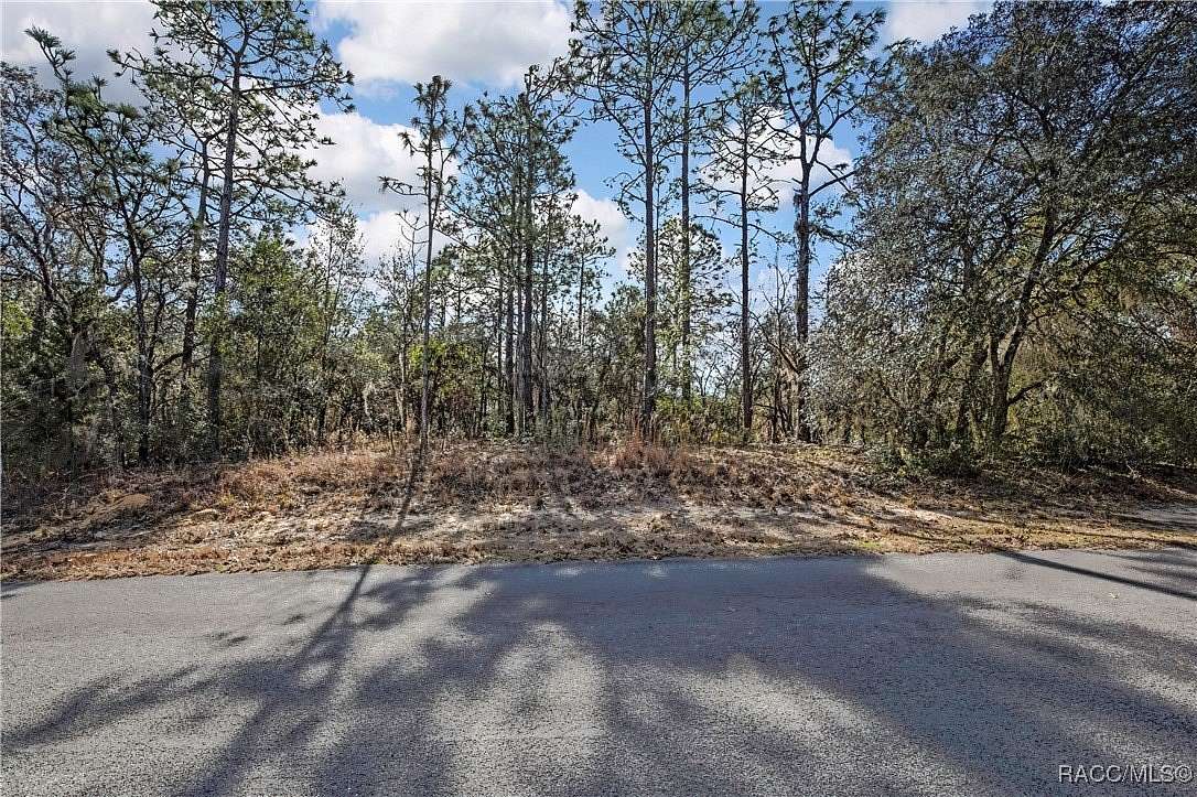 1 Acre of Residential Land for Sale in Hernando, Florida