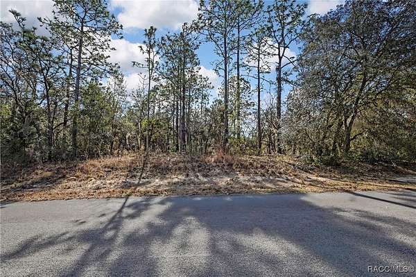 1 Acre of Residential Land for Sale in Hernando, Florida