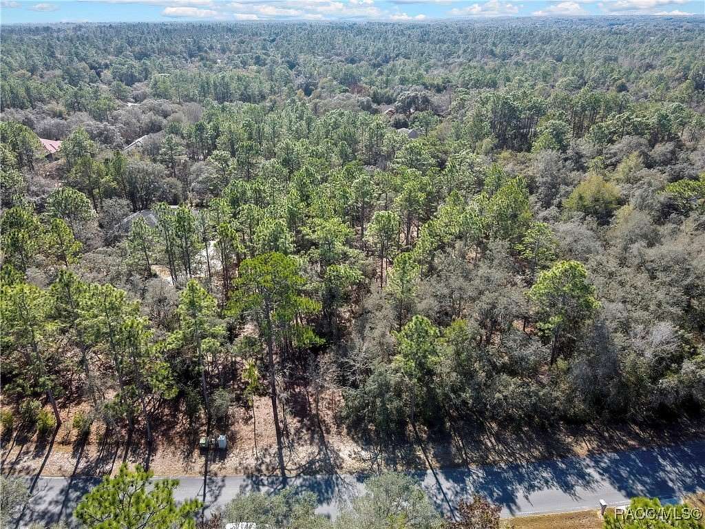 1 Acre of Residential Land for Sale in Hernando, Florida