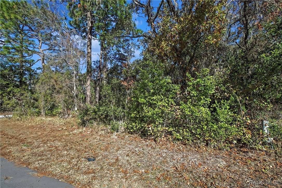 0.28 Acres of Land for Sale in Homosassa, Florida