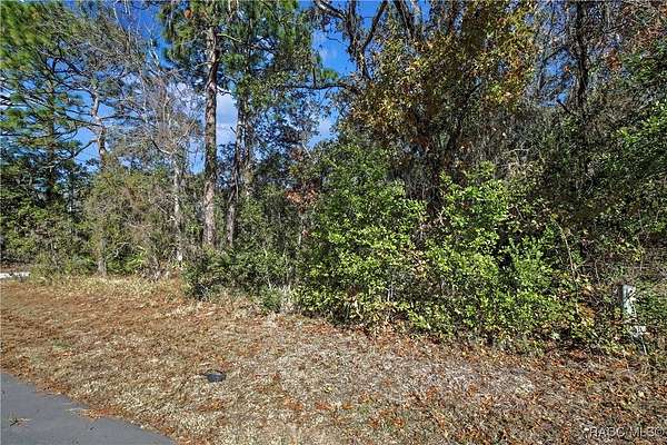 0.28 Acres of Land for Sale in Homosassa, Florida