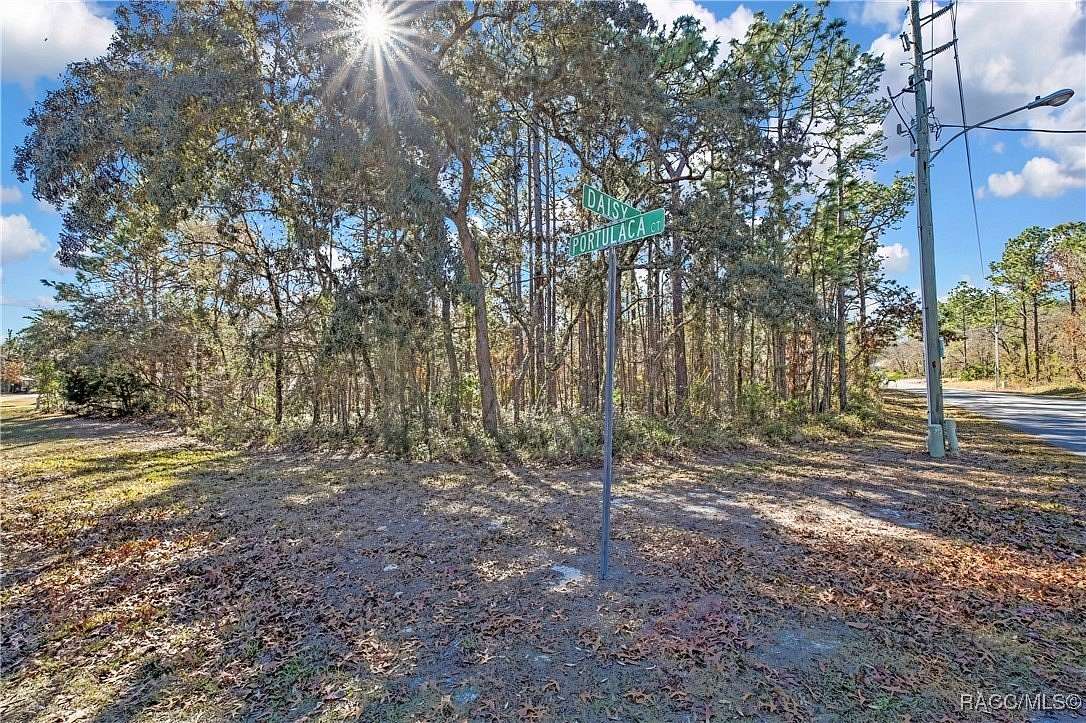0.34 Acres of Residential Land for Sale in Homosassa, Florida