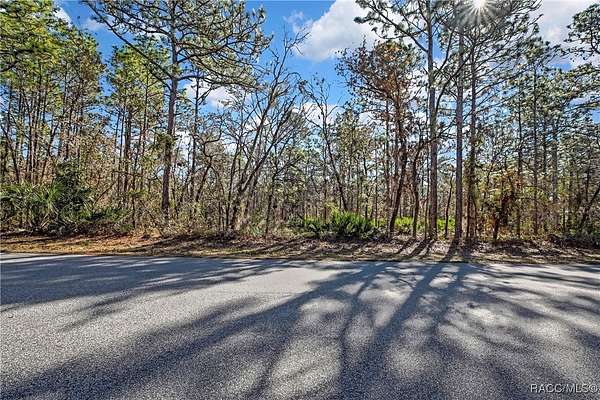 0.33 Acres of Residential Land for Sale in Homosassa, Florida