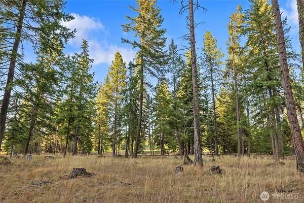 1 Acre of Residential Land for Sale in Cle Elum, Washington