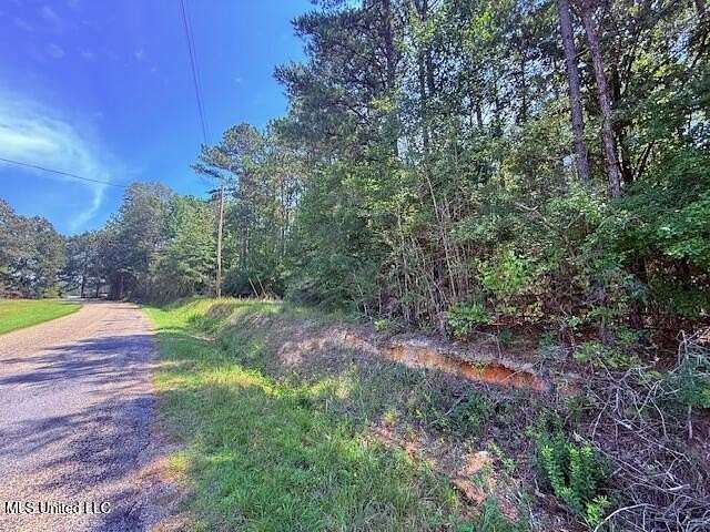 16 Acres of Recreational Land for Sale in Tylertown, Mississippi