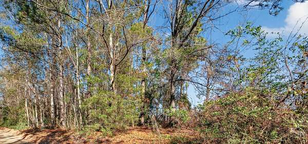 0.42 Acres of Residential Land for Sale in New Ellenton, South Carolina